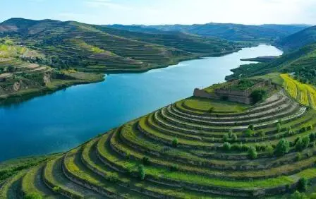 重點(diǎn)行業(yè)VOCs治理“一企一策”!寧夏空氣質(zhì)量持續(xù)改善行動(dòng)實(shí)施方案公開征求意見
