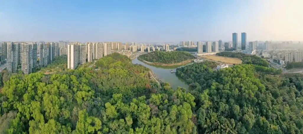 “三進三同”攜手共進,江門站助力區縣監測見成效